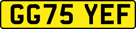 GG75YEF