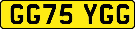 GG75YGG
