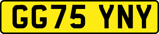 GG75YNY
