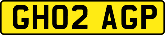 GH02AGP