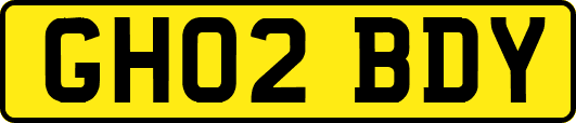 GH02BDY