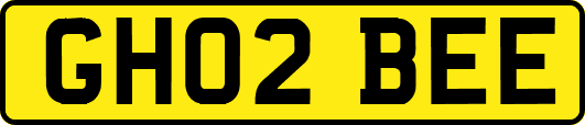 GH02BEE
