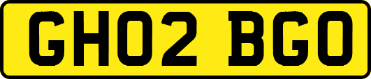 GH02BGO