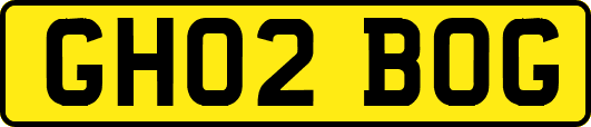 GH02BOG