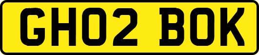 GH02BOK
