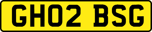 GH02BSG