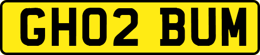 GH02BUM