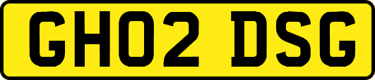 GH02DSG