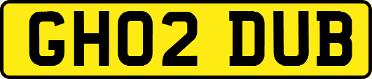 GH02DUB