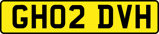 GH02DVH