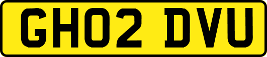 GH02DVU
