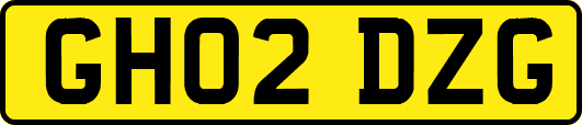 GH02DZG