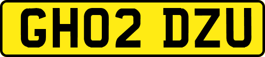 GH02DZU