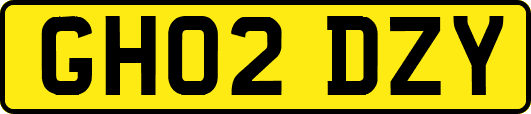 GH02DZY