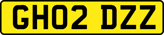 GH02DZZ