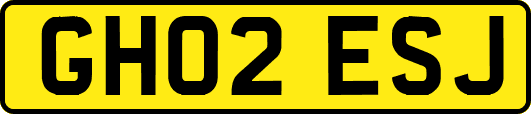 GH02ESJ
