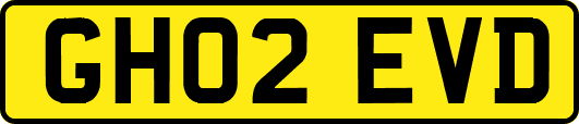 GH02EVD