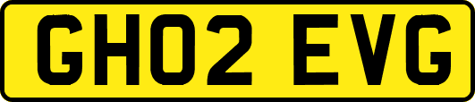 GH02EVG