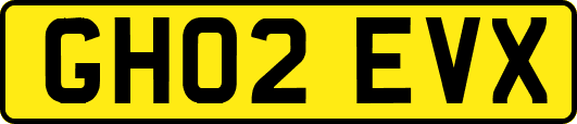 GH02EVX