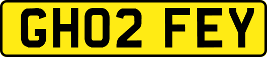 GH02FEY