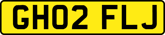 GH02FLJ