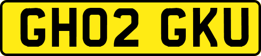 GH02GKU