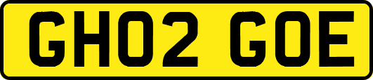 GH02GOE