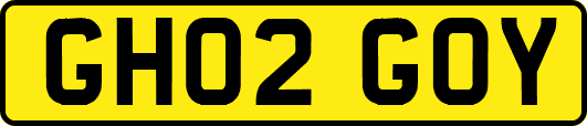 GH02GOY