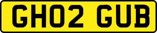 GH02GUB