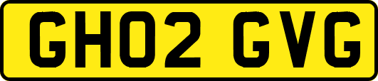 GH02GVG