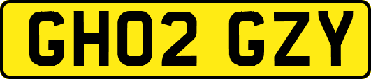 GH02GZY