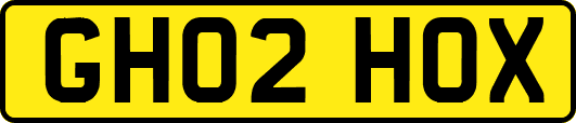 GH02HOX