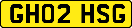 GH02HSG