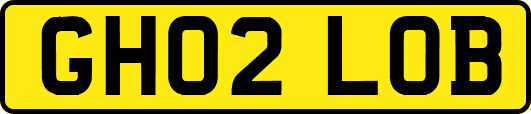 GH02LOB