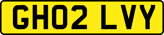 GH02LVY