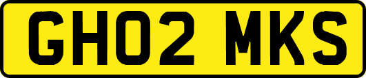 GH02MKS