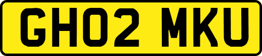 GH02MKU