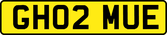 GH02MUE
