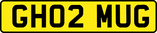 GH02MUG