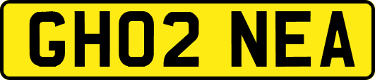 GH02NEA