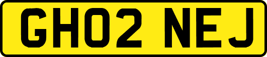 GH02NEJ