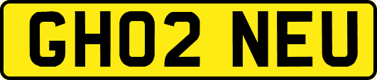 GH02NEU