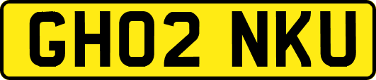 GH02NKU