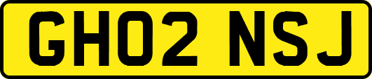 GH02NSJ