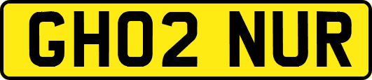 GH02NUR