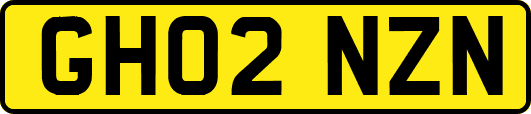 GH02NZN