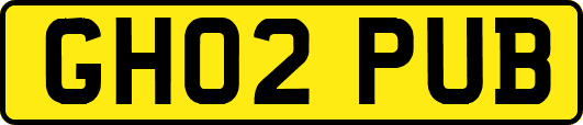 GH02PUB