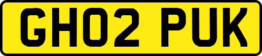 GH02PUK