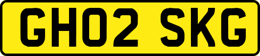 GH02SKG