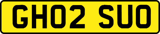 GH02SUO